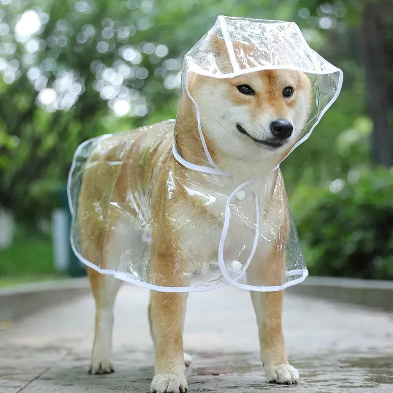 Transparent Puppy Rain Jacket