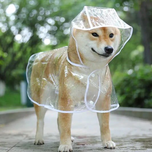 Transparent Puppy Rain Jacket