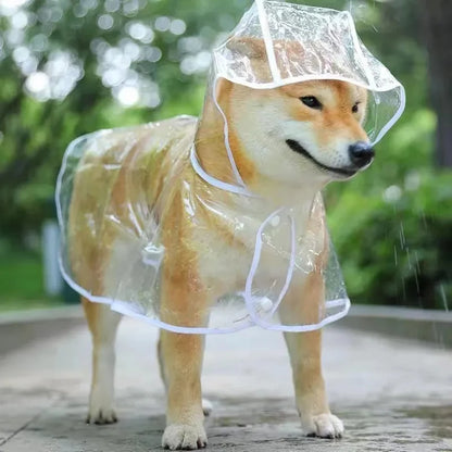 Transparent Puppy Rain Jacket