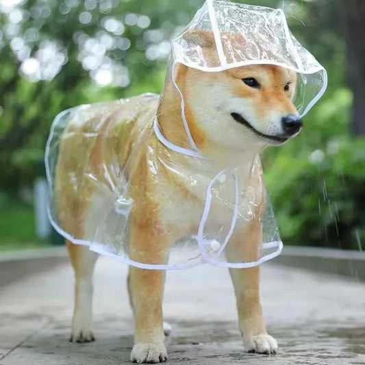 Transparent Puppy Rain Jacket