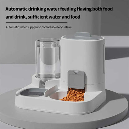 Dual Pet Feeding Station