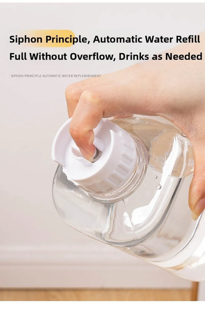 Automatic Pet Feeder