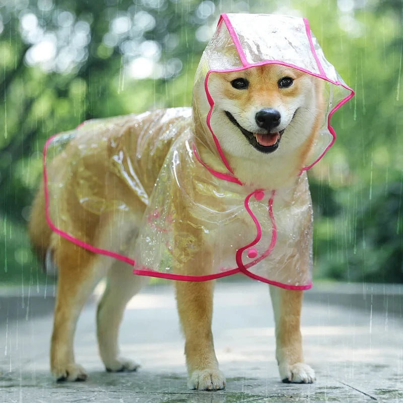 Transparent Puppy Rain Jacket