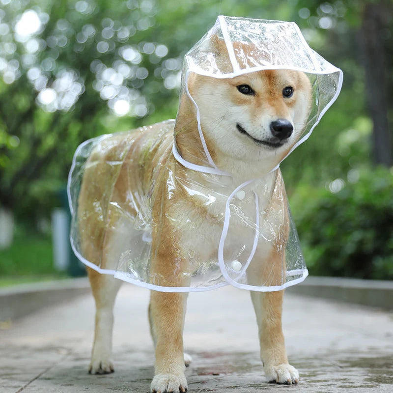 Transparent Puppy Rain Jacket