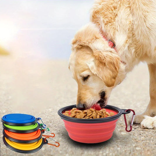 Portable Folding Dog Bowl